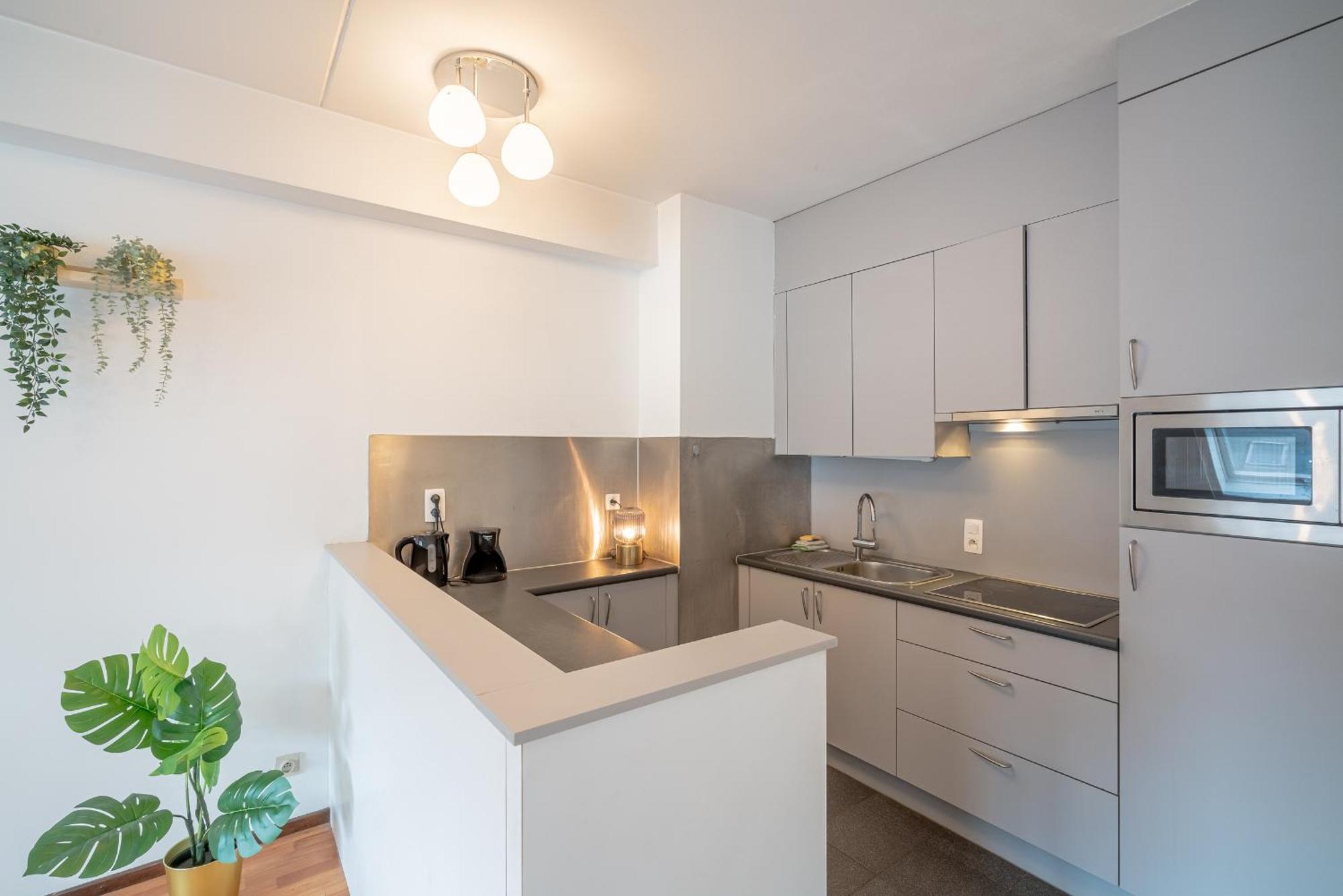 Bright In The Heart Of Appartement Antwerpen